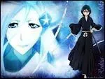 Quel est le nom du Zanpakuto de Rukia ?