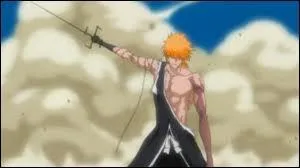 Quel est le nom de la technique d'Ichigo ?