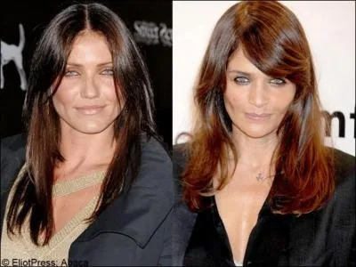 Cameron Diaz vs Helena Christensen (mannequin). Elles se ressemblent comme des jumelles, mais laquelle est la ptillante Cameron Diaz ?