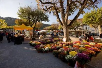 Simone : ''Bonjour Guy. Candidats de Carjac venus nombreux, bonjour ! Le premier candidat, c'est monsieur ? '' Le candidat : ''Monsieur Moulinot ! ! Marchand d'--------------- sur la place du marché à Cajarc : un ----------------------- de qualité s'achète chez Moulinot ! "