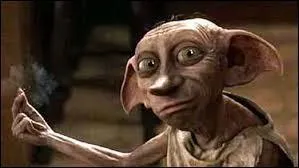 Qu'a fait Dobby pour se punir, aprs avoir  lanc  le cognard fou sur Harry ?