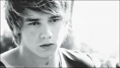 Liam Payne a officialis sa relation avec...