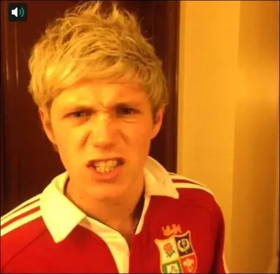 Quel est le restaurant prfr de Niall Horan ? Et son pch mignon ?