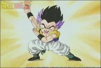 Qui a entran Sangoten et Trunk pour qu'il puisse fusionner ?