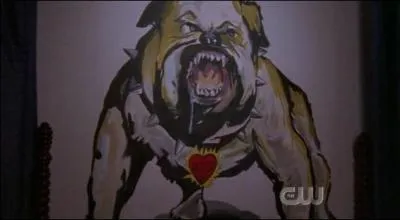 A quoi sert ce dessin ?