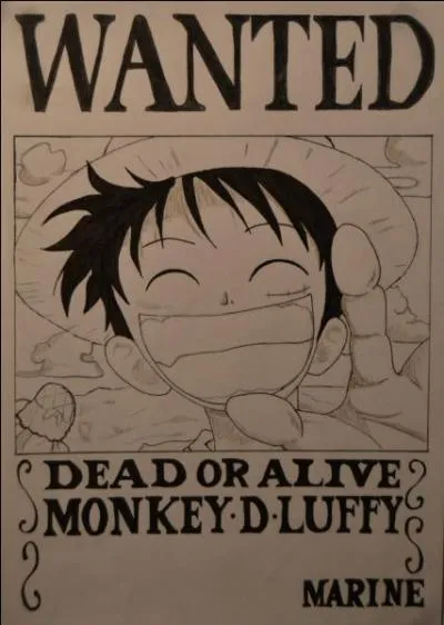 Quelle prime a Luffy ?