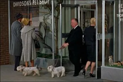 De quel film s'agit il ? 1963