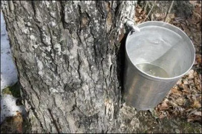 Si vous voulez le siroter, allez donc voir les cousins ...