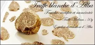 Evitez de passer pour une truffe, trouvez le nom de cette rgion d'Italie !