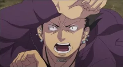 Quel est son deuxime signe distinctif ?