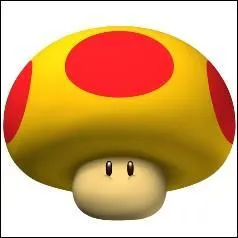 Cet objet est-il dans  Mario Kart  ?