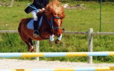 Quiz Galop 4