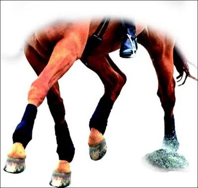 Les bandes de travail sont poses :