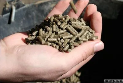 Quels aliments le cheval peut-il manger ?