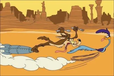 Bip-Bip rsiste toujours  l'irremplaable Vil Coyote, mais de quelle espce est cet oiseau?
