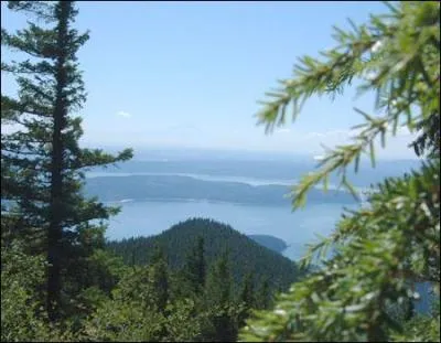 Le Washington est un Etat du ;