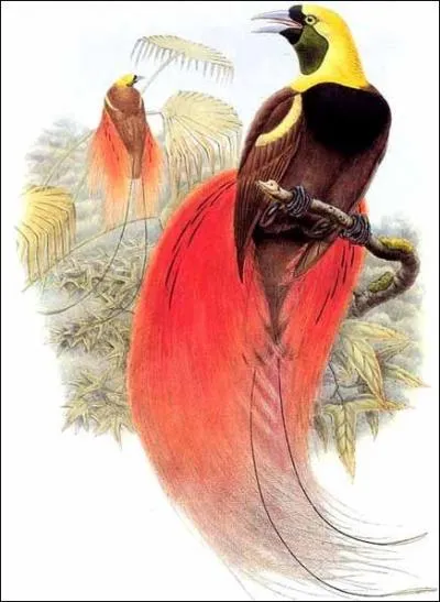 C'est une parodie du groupe Indochine, il a une particularit, il est particulier !