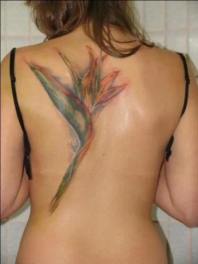 Elle fait mal aux gencives et provoque un abcs !