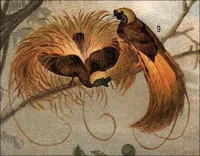 Dans ce rcit, il y a toujours une part de vrit cache !