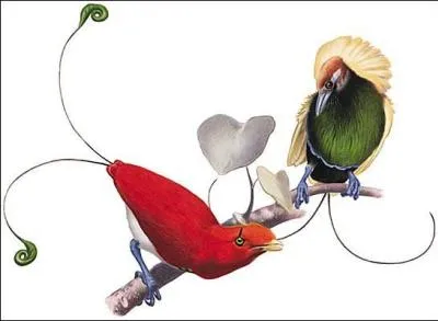 Un souvenir me revient en mmoire, un jour ... mince, je ne me souviens plus de ce que je voulais vous dire !