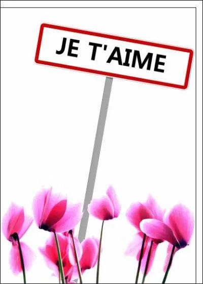 Que signifie ce panneau ?