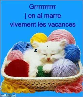 J'en ai marre de l'cole, vivement les vacances !