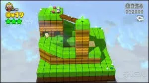 Dans  Super Mario 3D World , qu'est-ce que Captain Toad ? (Regardez la photo, a aide ! )