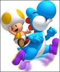 Comment sont appels les Toads au Japon ?