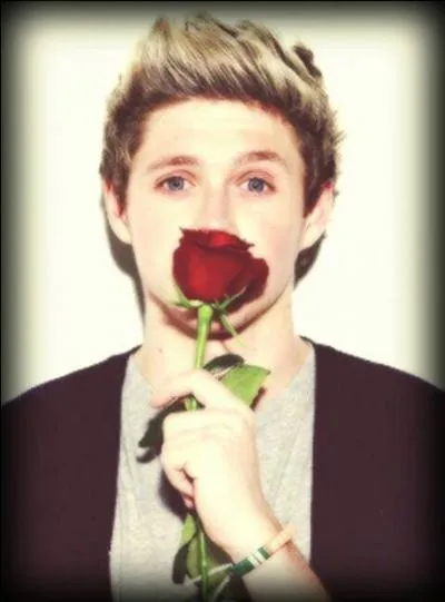 Qui est ce membre des One Direction ?