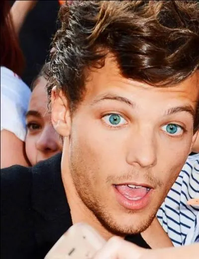 Qui est ce membre des One Direction ?