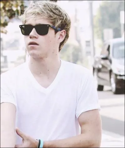 Comment Niall voulait-il que le groupe s'appelle ?