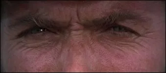 Quel type de plan est utilis dans l'image ci-contre ?