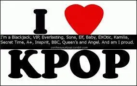 Comment s'appelle leur fan club ?