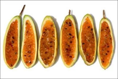 Et pour finir ... Quel est ce fruit ?