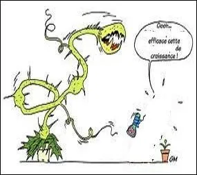 Une plante pouvant en cacher une autre, mfiez-vous durant vos balades en campagne. Sait-on jamais, si un engrais exprimental avait t dvers afin de transformer les pquerettes en plantes carnivores vous y risqueriez la pulpe de vos doigts ! Dans quelle B. D assistons-nous  cette trange modification ?