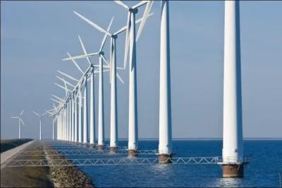 Comment appelle t-on un parc  oliennes en anglais ?