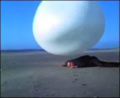 Quel est le nom de   la grosse boule blanche   qui empche quiconque de s'chapper ?