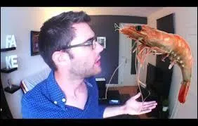 Dans quelle vido Cyprien dit  qu'une crevisse ne ressemble pas  un fruit de mer mais pourtant a s'appelle quand mme un fruit de mer  ?