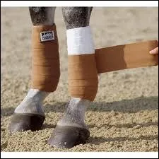 A quels chevaux mettez-vous des bandes de repos ?