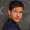 Qui interprte le rle de Alaric Saltzman ?
