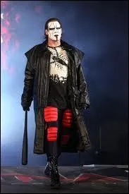 Quel est ce catcheur ?