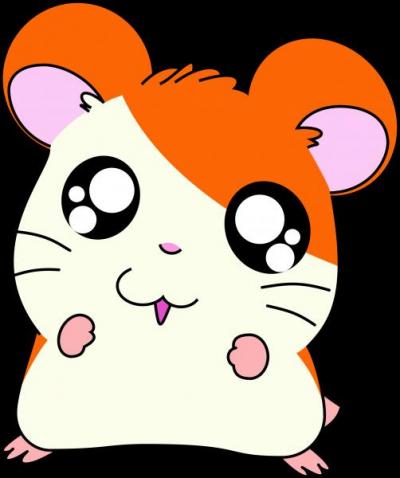 Hamtaro est le hamster de...