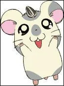 Comment s'appelle le meilleur ami de Hamtaro ?