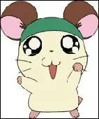 Quels sont les chapeaux que prfre porter Chapo ?