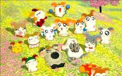 Qui s'est autoproclam  Chef du club  ?