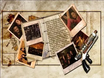 De quelle srie s'agit-il ?