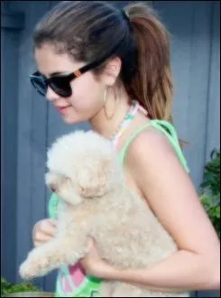 Quel est le titre de son album de 2013 ?