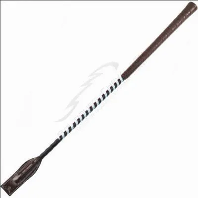 La cravache est-elle un moyen de punition ?