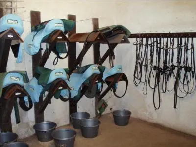 Comment s'appelle cette partie du centre questre ou du poney-club ?