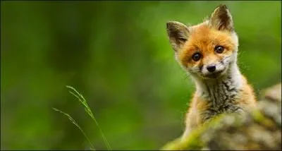 Cette photo colle particulirement bien au titre recherch !